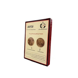 پردازشگر7 _ پکیج داربست